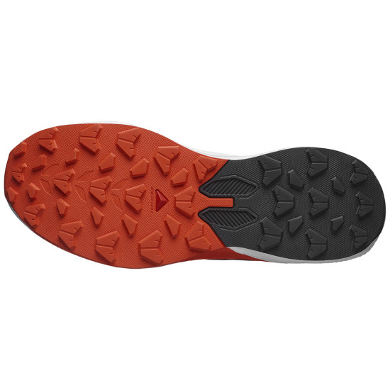 Salomon Pulsar